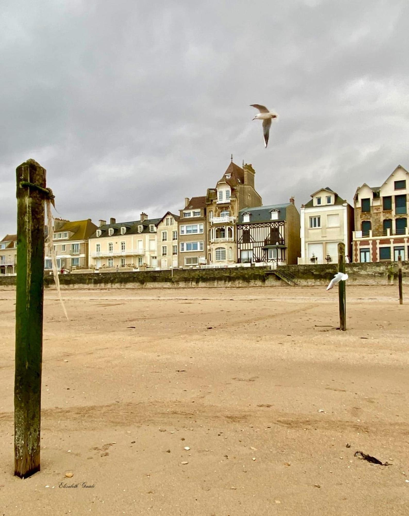 Saint-Aubin-Sur-Mer: Bel appartement traversant Exterior foto